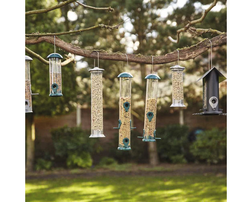 Plusieurs mangeoires suspendues pour oiseaux sur un arbre dans le jardin.