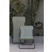 Deux chaises pliantes devant des plantes