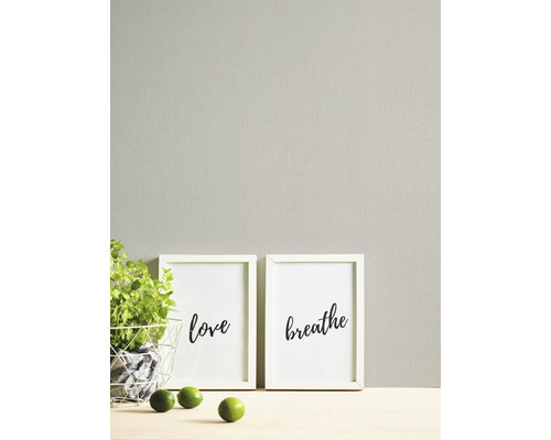 Scène décorative avec des reproductions d''art encadrées, plante et citrons verts pour la décoration intérieure