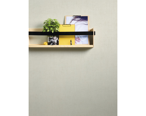 Holzregal mit Pflanze, Zitrusfrucht und Papierklemmen an der Wand
