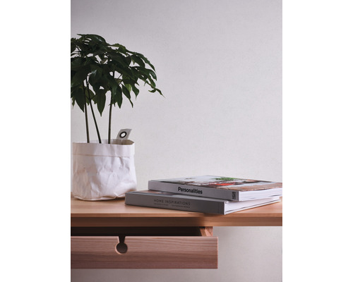 Dekorative Zimmerpflanze in einem weißen Papierbeutel auf einem Holzregal mit Büchern und Schublade