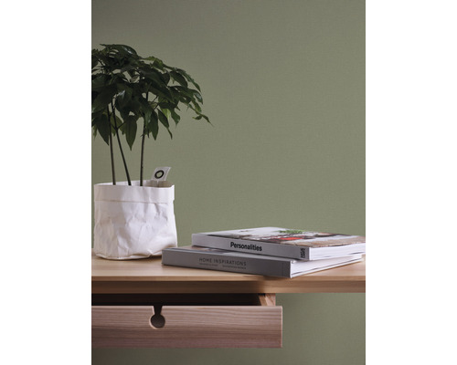 Pièce décorative avec plante en pot, livres et bureau en bois