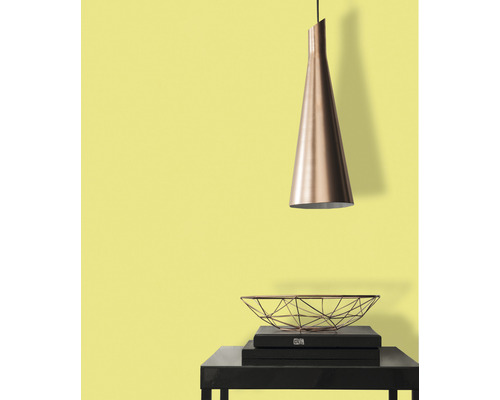 Pendelleuchte über Tisch mit Schale und Büchern