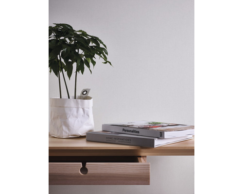 Plante d''intérieur décorative sur une étagère en bois clair avec tiroir et livres