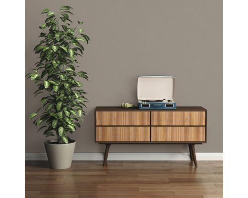 Wohnzimmer Szene mit Kommode, Pflanze und Schallplattenspieler