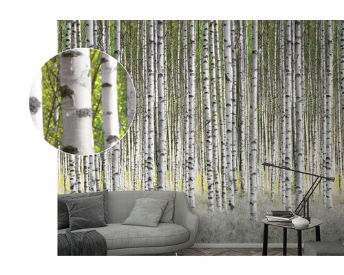 Papier peint motif forêt de bouleaux dans le salon