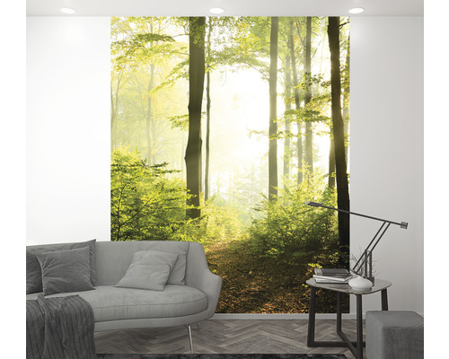 Espace de vie avec un papier peint photo représentant un chemin forestier