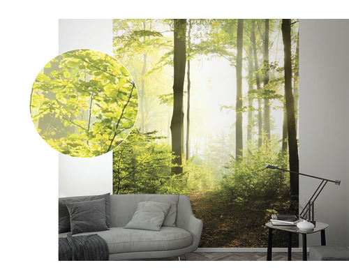 Image murale avec motif de forêt, présentée dans un salon au-dessus d''un canapé