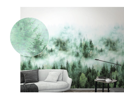 Papier peint photo avec motif de forêt et brouillard derrière un canapé