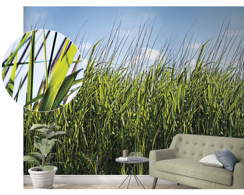 Papier peint photo avec motif d''herbe dans un salon