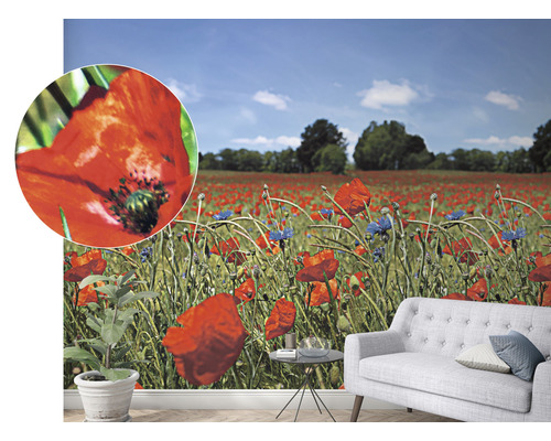 Salon avec papier peint représentant un champ de coquelicots