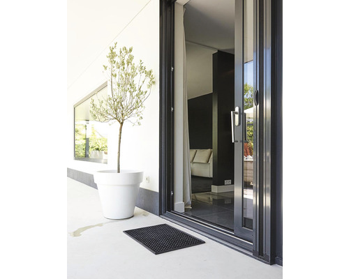 Scène avec porte de terrasse, plante en pot et paillasson.