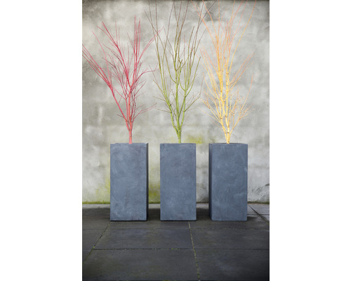 Drei schlanke, graue Pflanzgefäße mit dekorativen Ästen in Rot, Grün und Gelb.