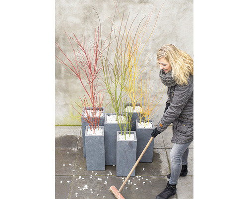 Frau kehrt weiße Kieselsteine neben Pflanzkübeln mit bunten Ziersträuchern