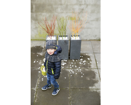 Kind mit winterlicher Kleidung neben drei bepflanzten Pflanzkübeln mit Ziersträuchern