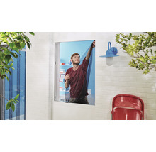 Moustiquaire pour fenêtre tesa Insect Stop Comfort sans perçage blanc 170x180 cm