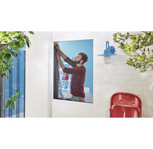 Moustiquaire pour fenêtre tesa Insect Stop Comfort sans perçage blanc 170x180 cm