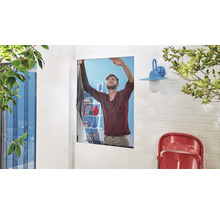 Moustiquaire pour fenêtre tesa Insect Stop Comfort sans perçage blanc 170x180 cm