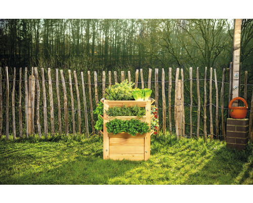 Hochbeet aus Holz mit verschiedenen Kräutern und Salaten im Garten