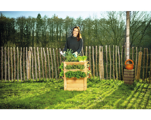 Frau bepflanzt ein Holzregal mit Kräutern und Salat im Garten.