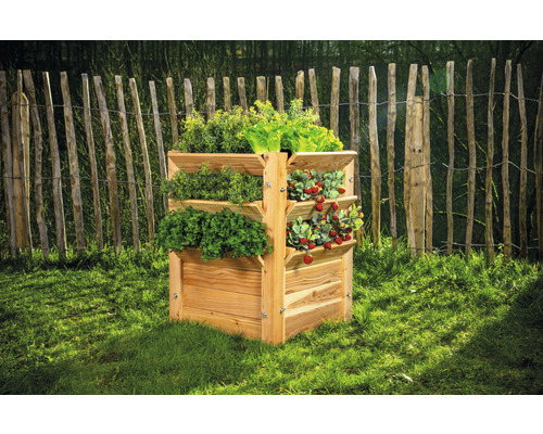 Hochbeet aus Holz mit Kräutern und Erdbeeren im Garten