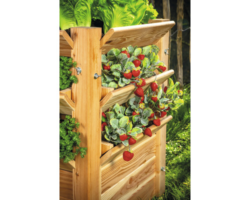Hochbeet aus Holz mit Erdbeeren, Salat und Kräutern