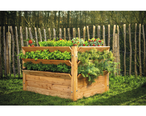 Hochbeet aus Holz mit verschiedenen Gemüsesorten im Garten