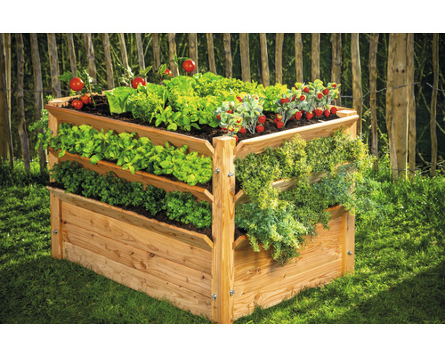 Hochbeet aus Holz mit Salat, Erdbeeren und Tomaten im Garten.