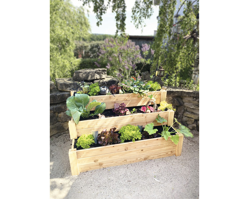 Dreistufiges Hochbeet aus Holz bepflanzt mit Gemüse im Garten.