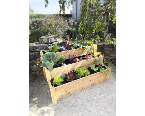 Dreistufiges Hochbeet aus Holz mit verschiedenen Gemüsesorten im Garten.