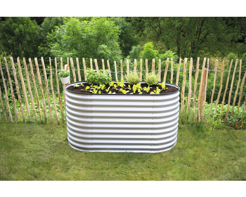 Hochbeet klassisch WESTMANN oval 160 x 80 x 82 cm silber Hochbeet aus Metall mit Bepflanzung im Garten