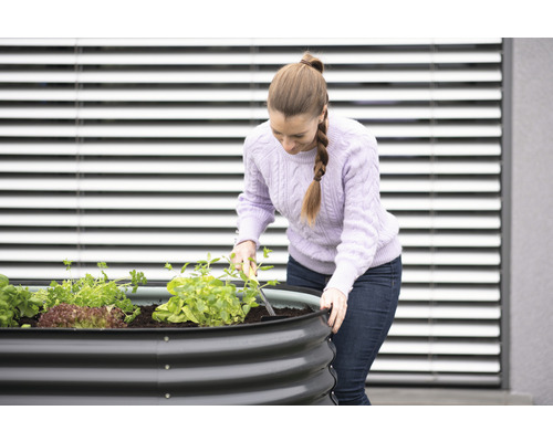 Frau arbeitet im Gartenbeet mit Gemüsepflanzen.