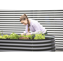 Jardinière surélevée classique WESTMANN ovale 240 x 80 x 82 cm gris