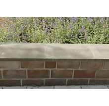 Couvre-mur pour muret toit en selle gris 49 x 50 x 5 - 7,5 - 5 cm-thumb-5