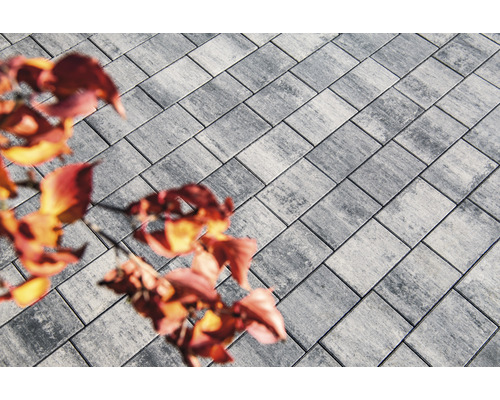 Pavés gris de forme rectangulaire et feuilles d''automne.