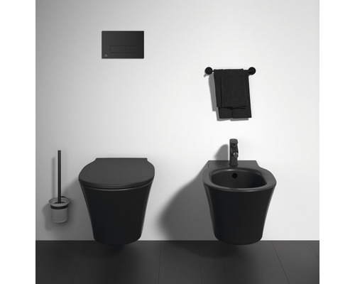 Salle de bains avec WC suspendu, bidet, plaque de commande, serviette et brosse de toilette