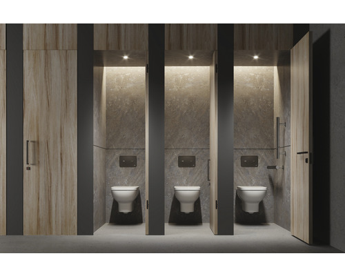 Toilettes publiques avec cabines de toilettes et cloisons grises