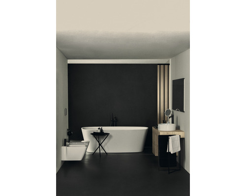 Salle de bains avec baignoire îlot, lavabo et bidet