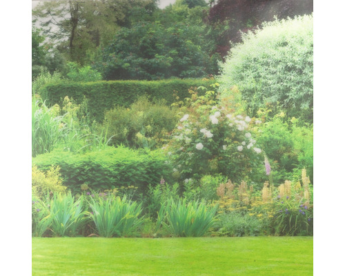 Üppiger Garten mit Rasenfläche, Büschen, Blumen und Bäumen.