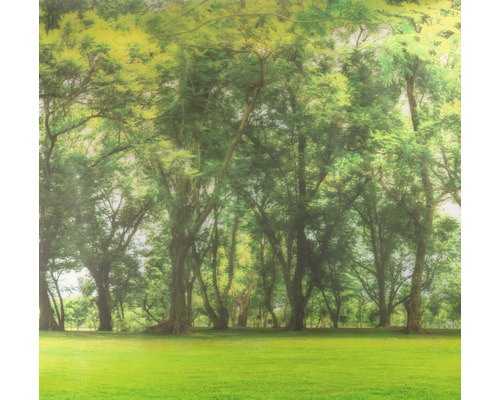 Forêt décorative comme arrière-plan pour diverses applications
