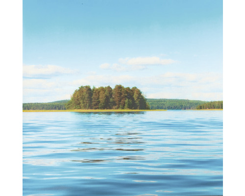Paysage avec lac et île boisée
