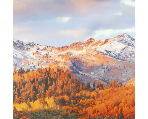 Paysage avec montagnes, neige et arbres
