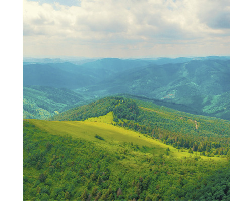 Vue panoramique d''un paysage vallonné avec des forêts et des prairies sous un ciel nuageux
