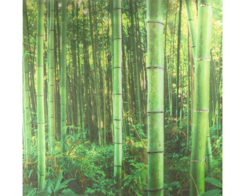 Papier peint photo avec motif de forêt de bambous