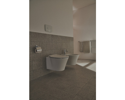 Badezimmer mit Wand-Tiefspülklosett und Bidet