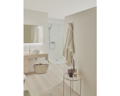 Salle de bain lumineuse avec douche, lavabo, miroir et décoration