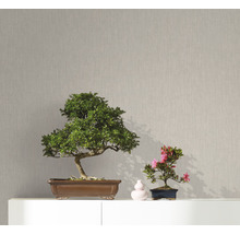 Zwei Bonsai-Bäume in Schalen auf einem weißen Möbelstück