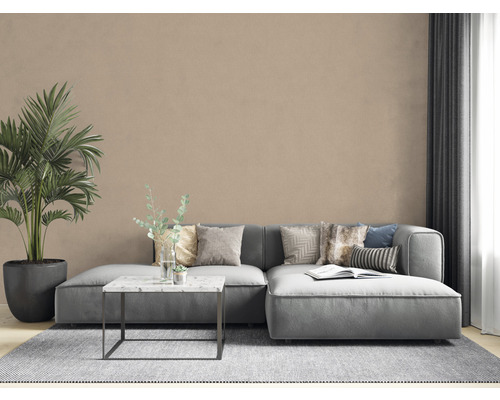 Wohnzimmer mit grauem Sofa, Couchtisch, Teppich und Zimmerpflanze