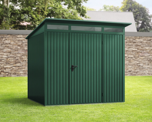 Abri de jardin Hörmann EcoStar Trend-P type 2 RAL6005 porte à un vantail 238 x 238 cm vert