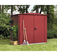Abri de jardin métallique avec porte, treillis et outils de jardin dans le jardin